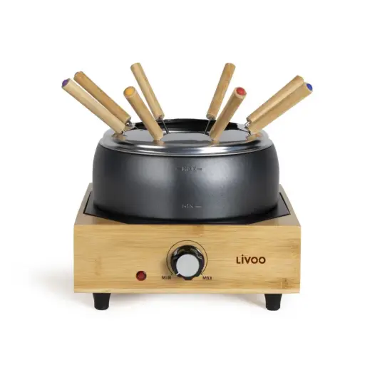 [DOC287] Appareil à fondue électrique