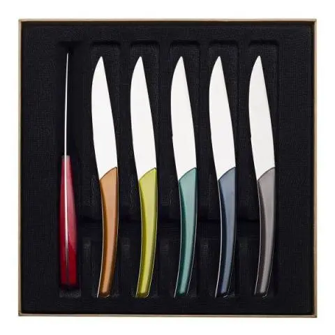 [227448] Coffret 6 couteaux à Steak coloris Assortis Guy Degrenne